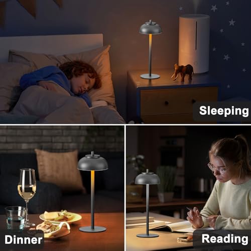 Cordless Table Lamps (2 Count)