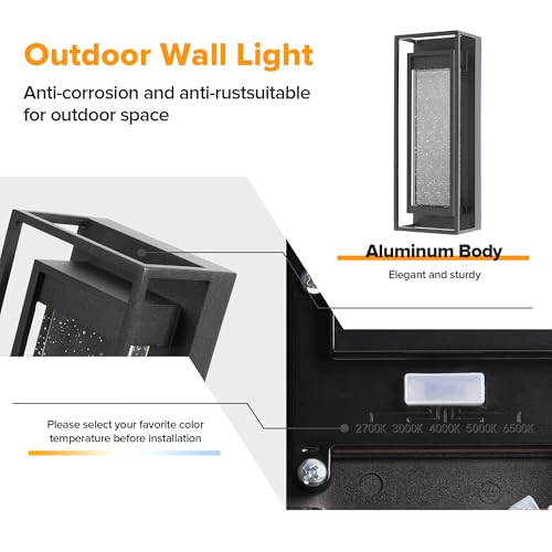 2 Pack Outdoor Wall Light Fixtures (2 Count)