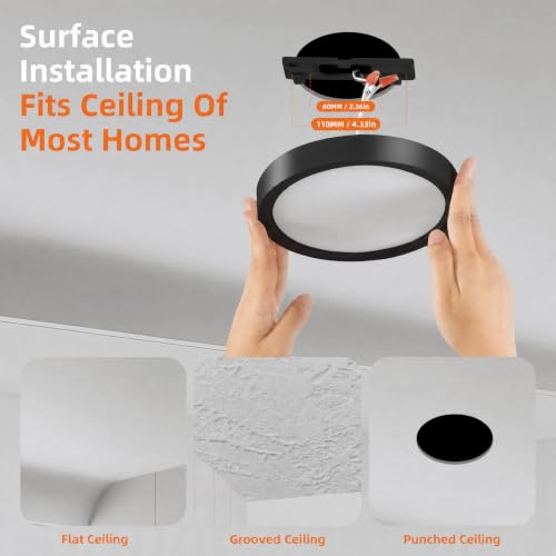 Flush Mount Ceiling Light Fixture
