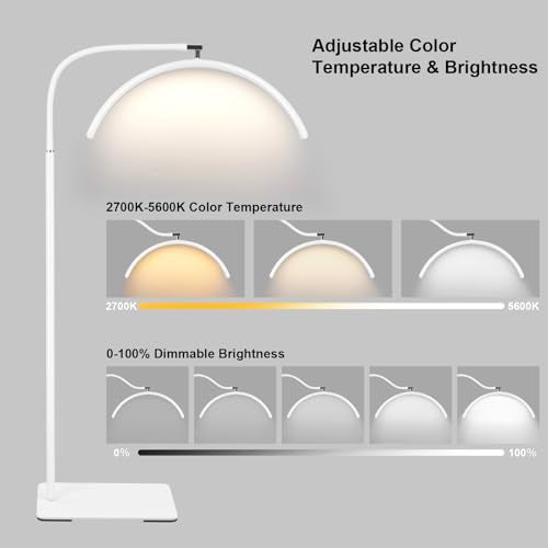 Half Moon LED Floor Light
