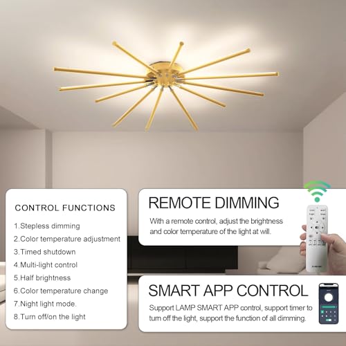 Modern LED Ceiling Light