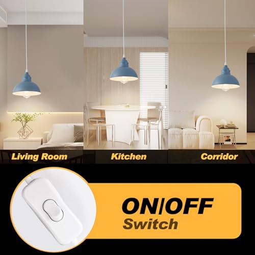 Plug in Pendant Light
