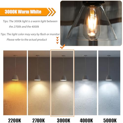 8 Pack Dimmable LED Edison Bulbs 40W Equivalent (8 Count)