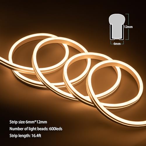 Vanity Lights for Mirror