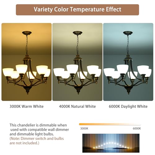 6 Light Chandelier