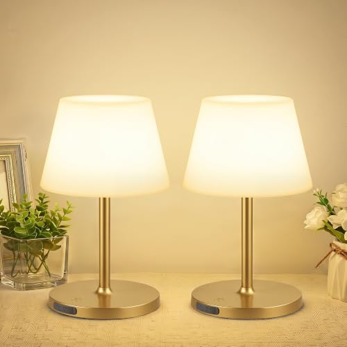 2 Pack Shower Lamp Waterproof (2 Count)