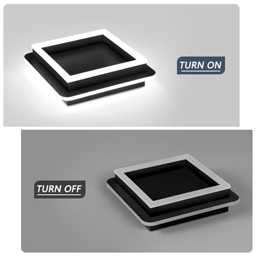 Black Modern LED Ceiling Light