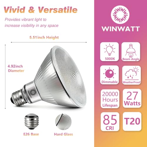 LED Light Bulbs PAR38 Full Glass (4 Count)