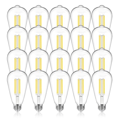 20 Pack ST58 LED Edison Bulbs (20 Count)