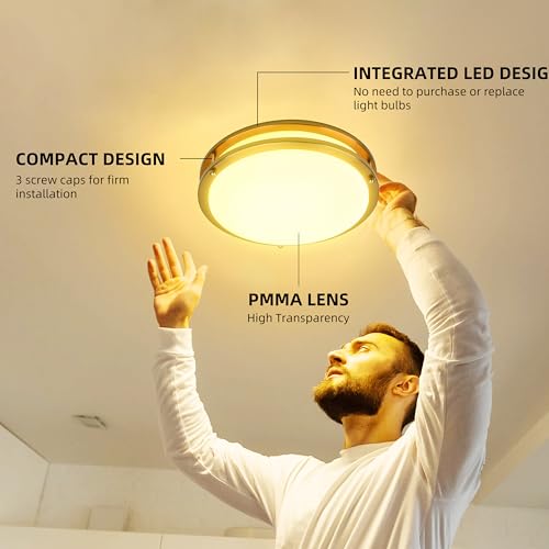 10 inch Flush Mount LED Ceiling Light Fixture (2 Count)