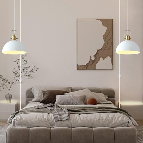 Plug in Pendant Light