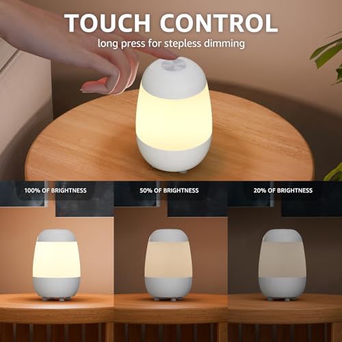 2 Pack Rechargeable Small Night Light Touch Dimmable Cordless Lamp (2 Count)