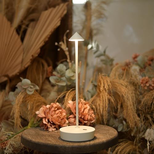 Set of 2 Cordless Rechargeable Led Table Lamp Battery Operated Light White (2 Count)