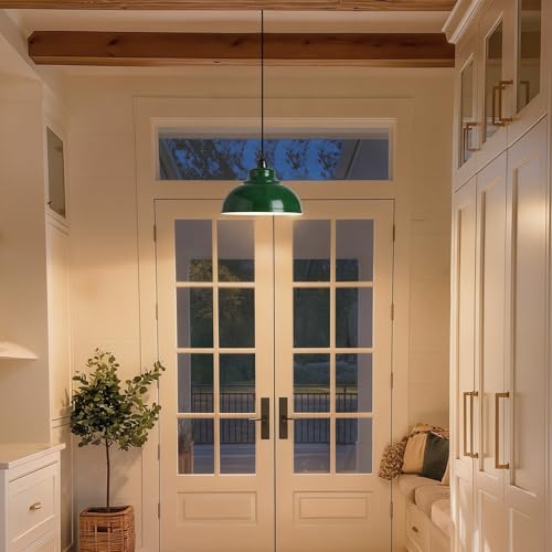 Plug in Pendant Light