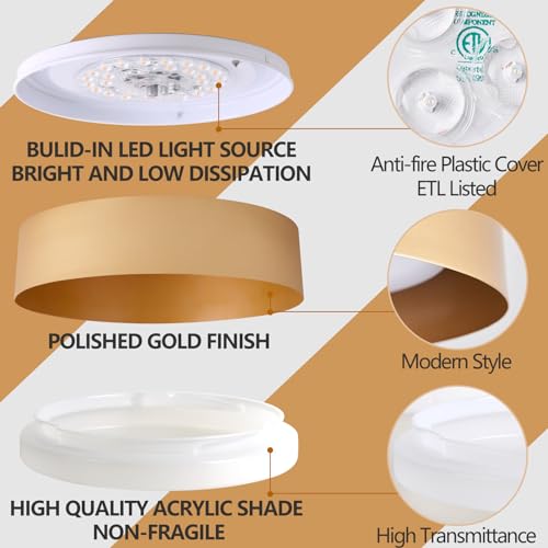 Gold Flush Mount Ceiling Light
