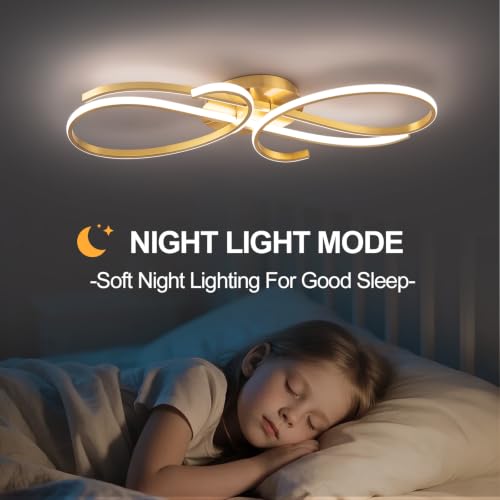 43W Modern Ceiling Light Fixture