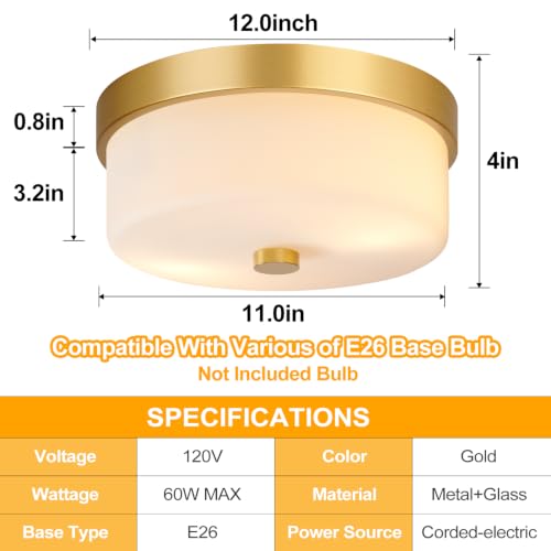 Flush Mount Ceiling Light Fixtures