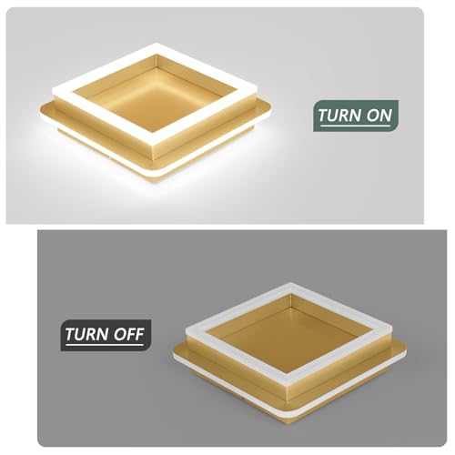 Square LED Hallway Ceiling Light