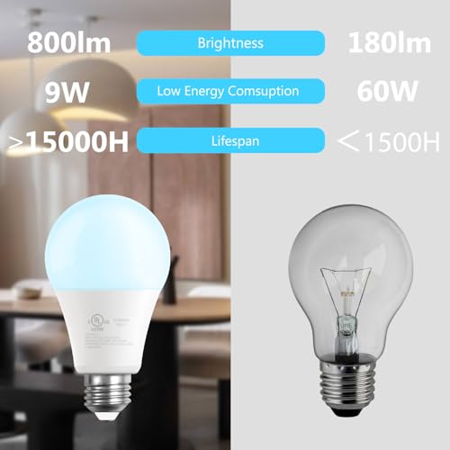 A19 LED Light Bulbs (12 Count)