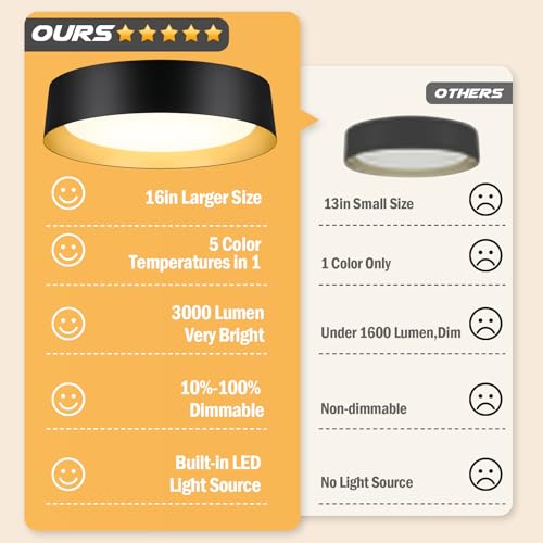 Flush Mount Ceiling Light