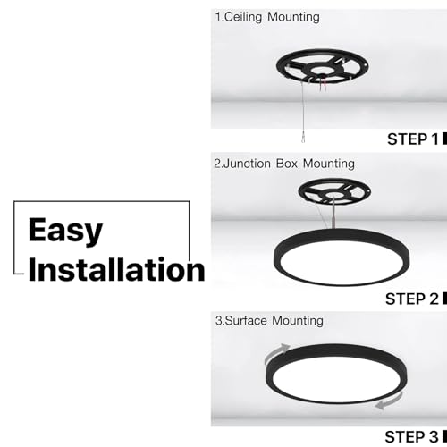 12 Inch Black LED Flush Mount Ceiling Light Fixture (2 Count)