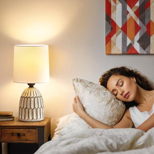 Table Lamps Set of 2 (2 Count)
