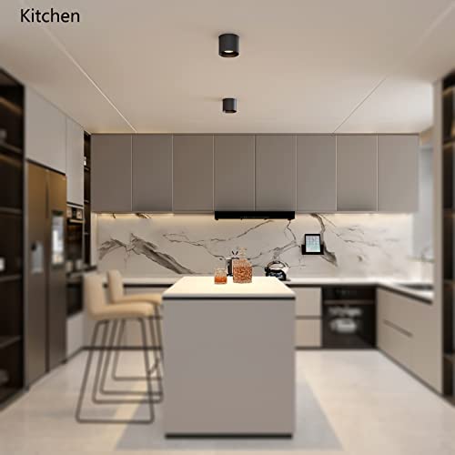 Ceiling Light Fixture