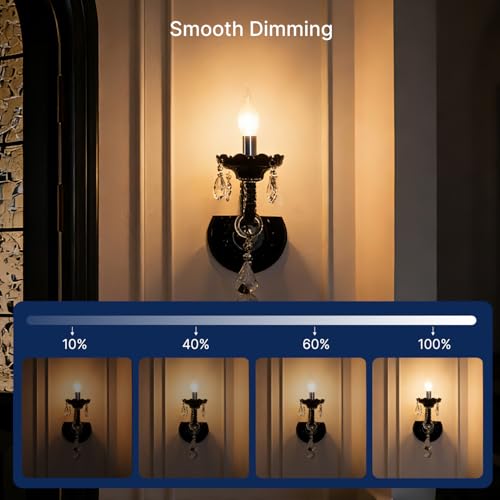 3000K Warm White LED Chandelier Edison Bulbs (24 Count)