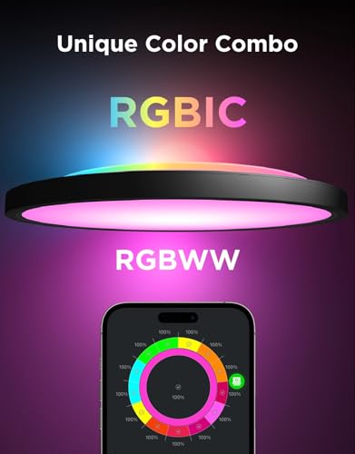 Smart Ceiling Light