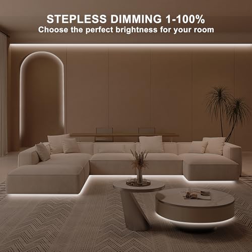 32.8ft COB LED Strip Light with Remote (32.8 Foot)