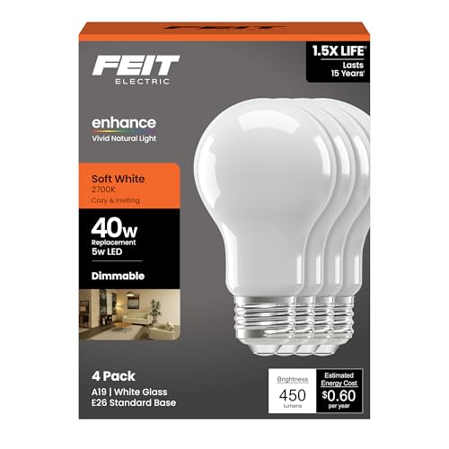 A19 LED Light Bulb (4 Count)