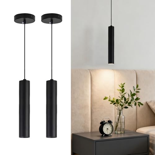 Dimmable Black Pendant Lights 2 Pack