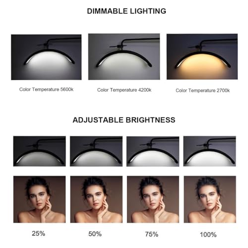 Half Moon LED Floor Light