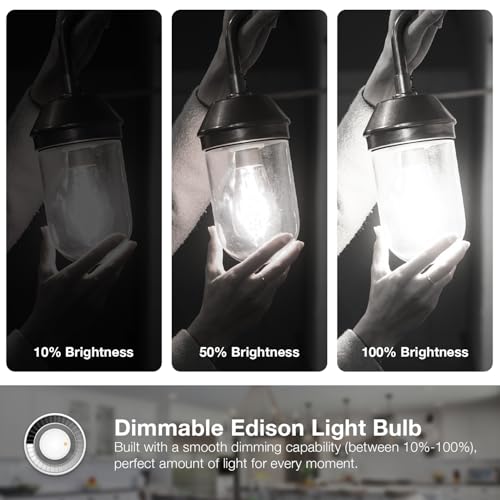 12 Pack Vintage LED Edison Bulbs (12 Count)