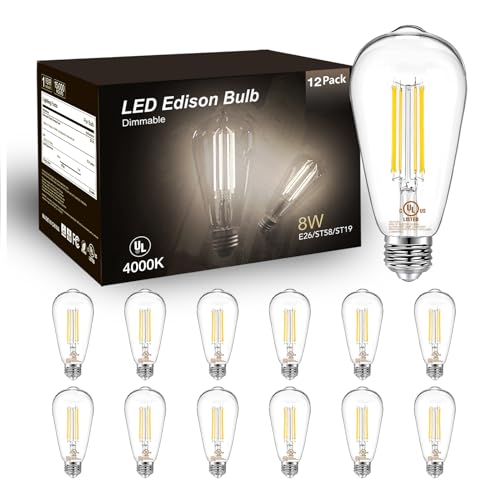 12 Pack Vintage LED Edison Bulbs (12 Count)