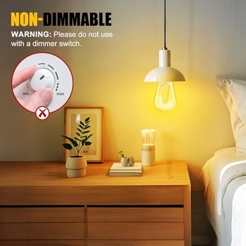 12Pack Edison Light Bulbs (12 Count)
