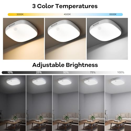 Shower Light IP65 Waterproof