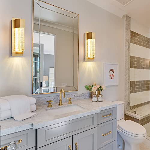 LED Wall Sconce Light