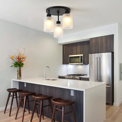 3 Light Industrial Farmhouse Black Matte Light Fixtures Ceiling Mount (3 Count)