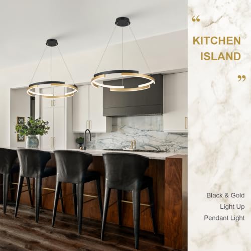Modern Black and Gold Ring Chandeliers