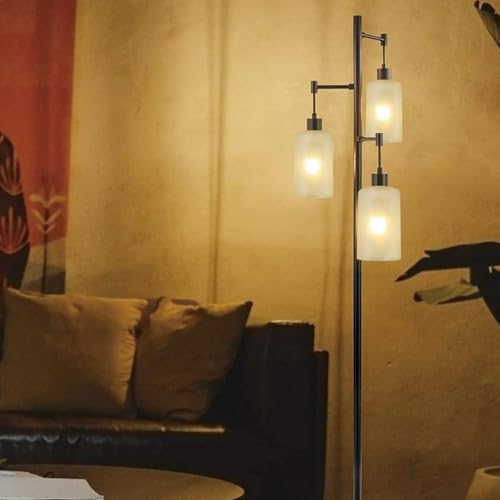3PcS Clear Glass Lamp Shade (3 Count)