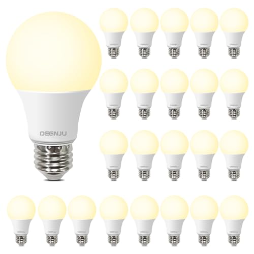 A19 LED Light Bulbs (24 Count)