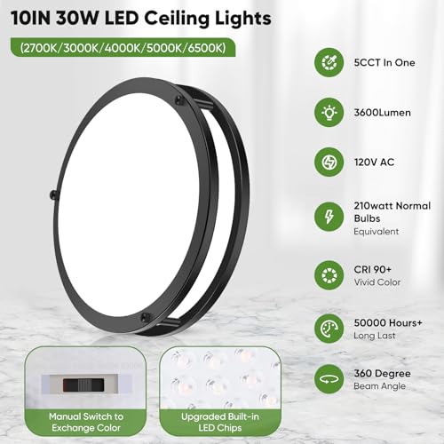 10 Inch LED Flush Mount Ceiling Light