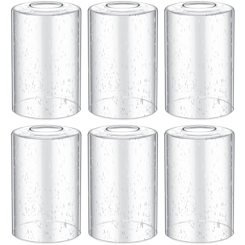 6 Pack Clear Bubble Seeded Glass Lamp Shade 1 (6 Count)