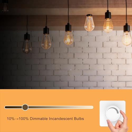 Warm Incandescent Light Bulbs 60 Watt