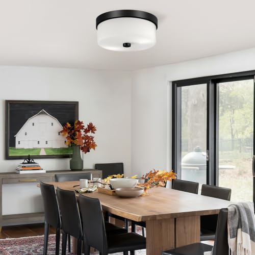 Black Flush Mount Ceiling Light Fixtures