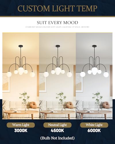 Modern Black Chandelier
