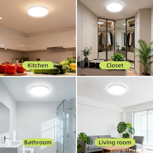 LED Flush Mount Ceiling Light