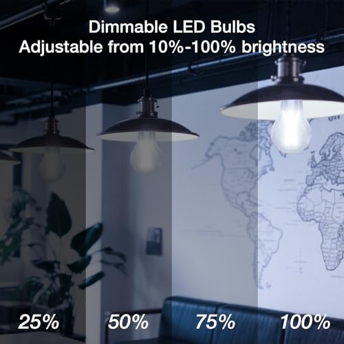 6 Pack A19 Vintage LED Edison Bulbs (6 Count)