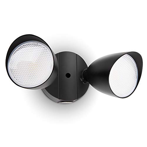 6222B D2D 3500 Lumen 32 Watt Dusk to Dawn Dual
